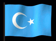 uigurstanflag